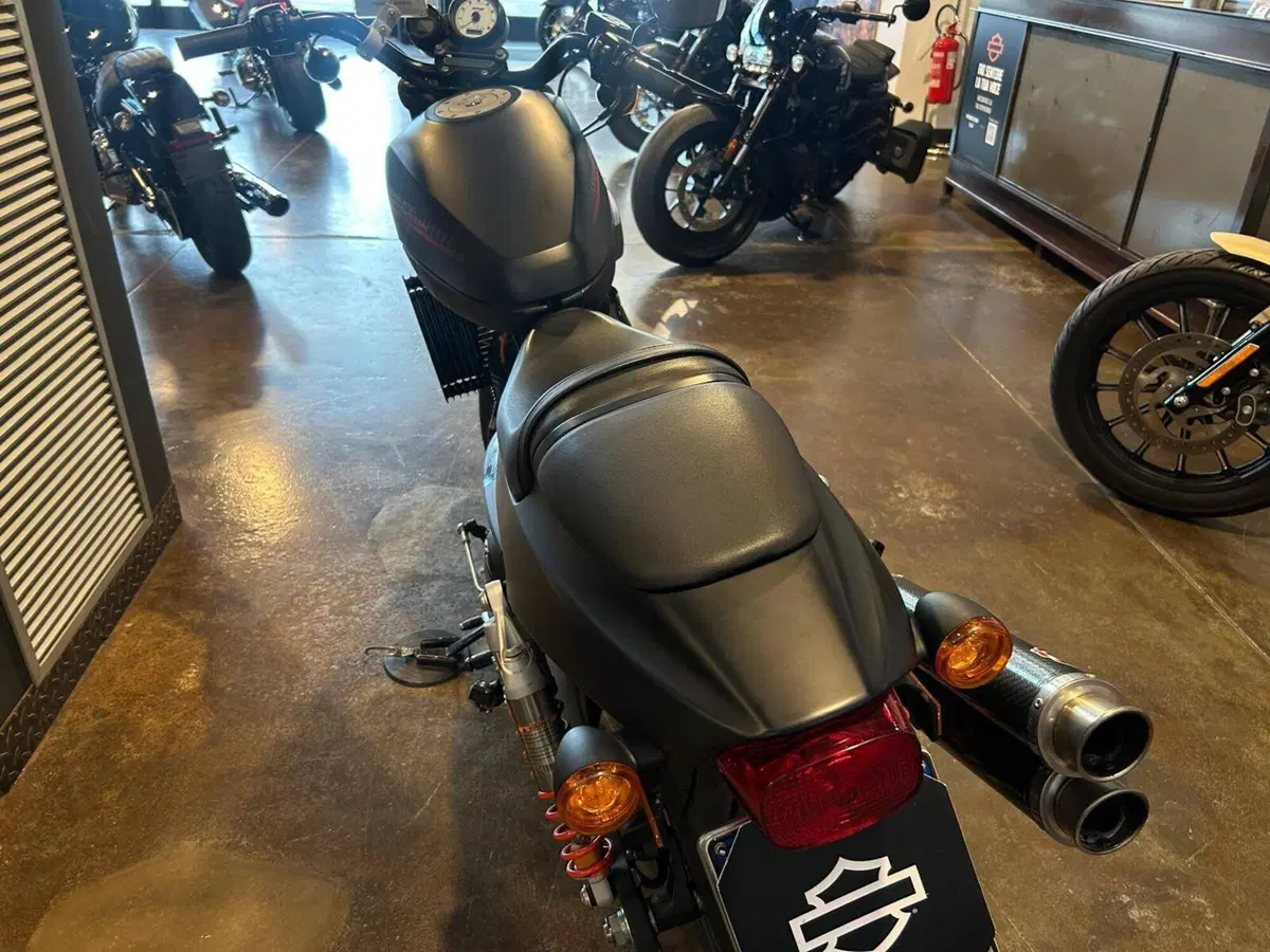Harley-Davidson 1200 XR X (2010 - 12) (5)