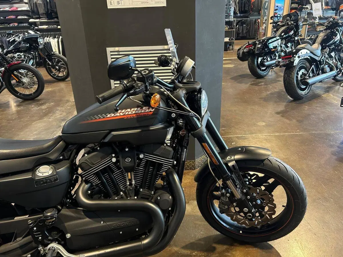 Harley-Davidson 1200 XR X (2010 - 12) (8)