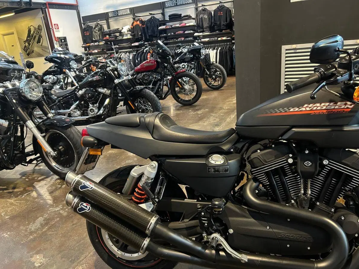 Harley-Davidson 1200 XR X (2010 - 12) (9)