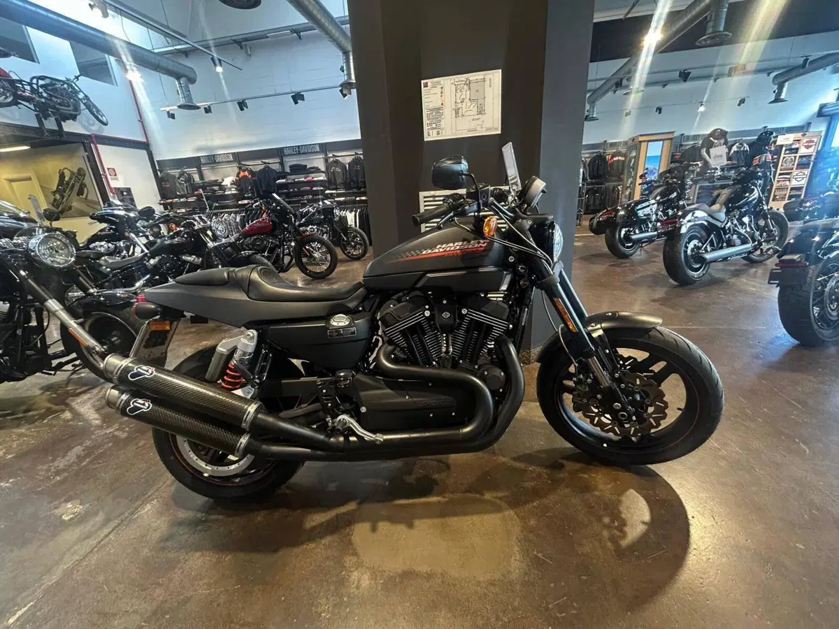Harley-Davidson 1200 XR X (2010 - 12) (10)