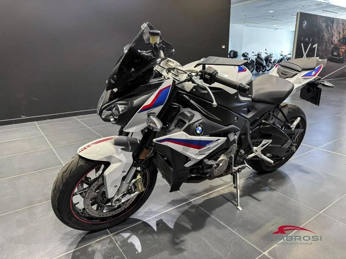 Bmw S 1000 R (2017 - 20) (2)