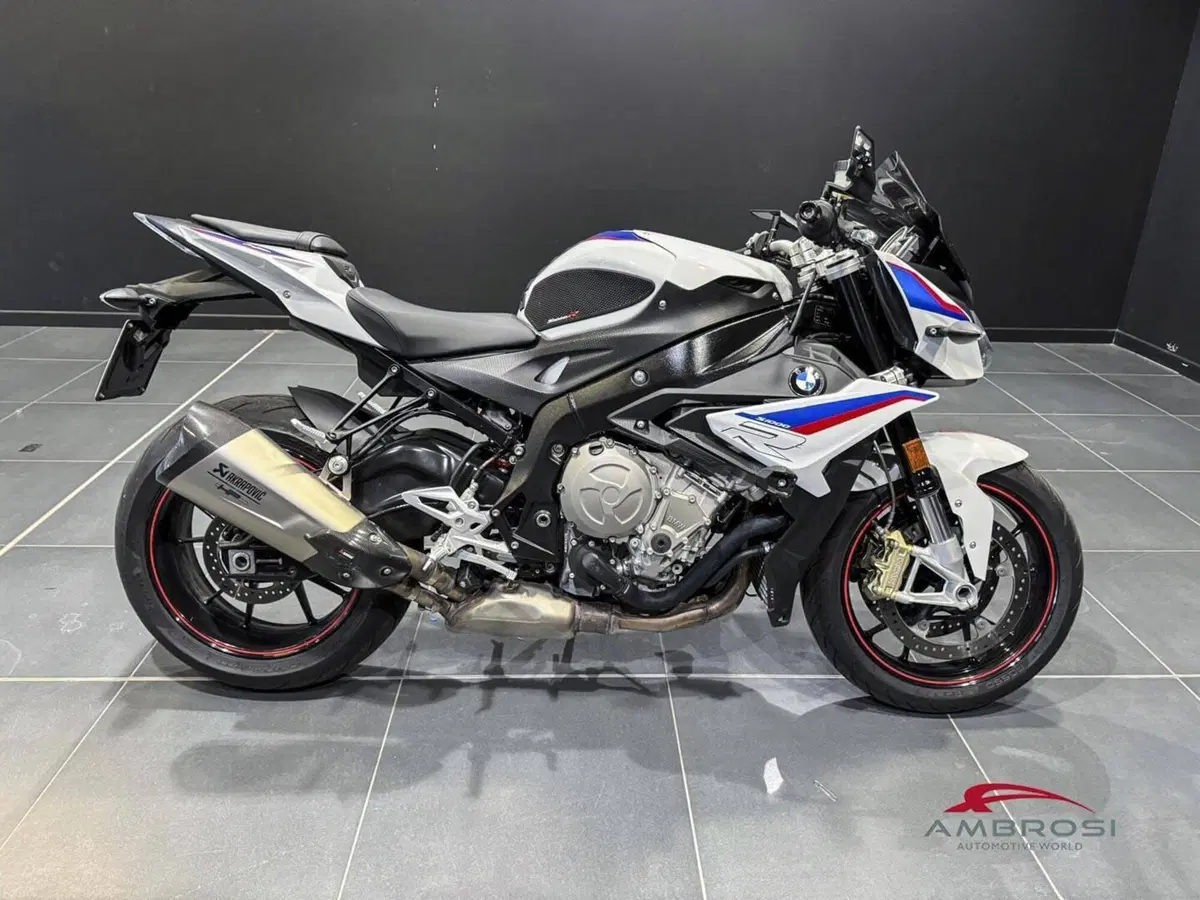 Bmw S 1000 R (2017 - 20) (3)