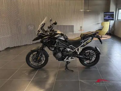 Triumph Tiger 1200 GT Pro (2022 - 23) usata