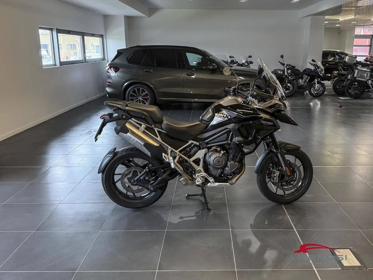 Triumph Tiger 1200 GT Pro (2022 - 23) (2)