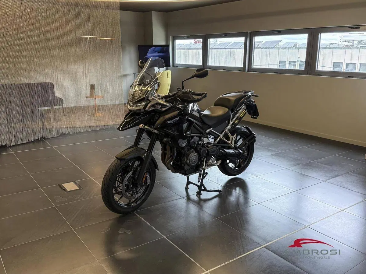 Triumph Tiger 1200 GT Pro (2022 - 23) (5)