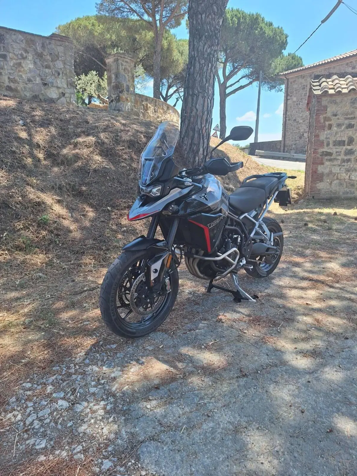 Triumph Tiger 900 GT Pro (2024 - 26) (5)