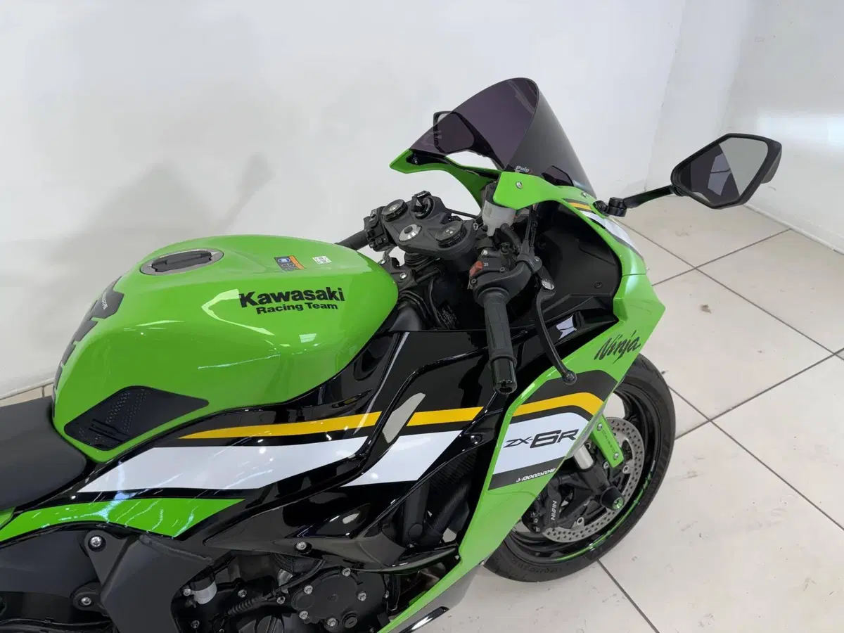 Kawasaki Ninja 636 ZX-6R (2024 - 26) (8)