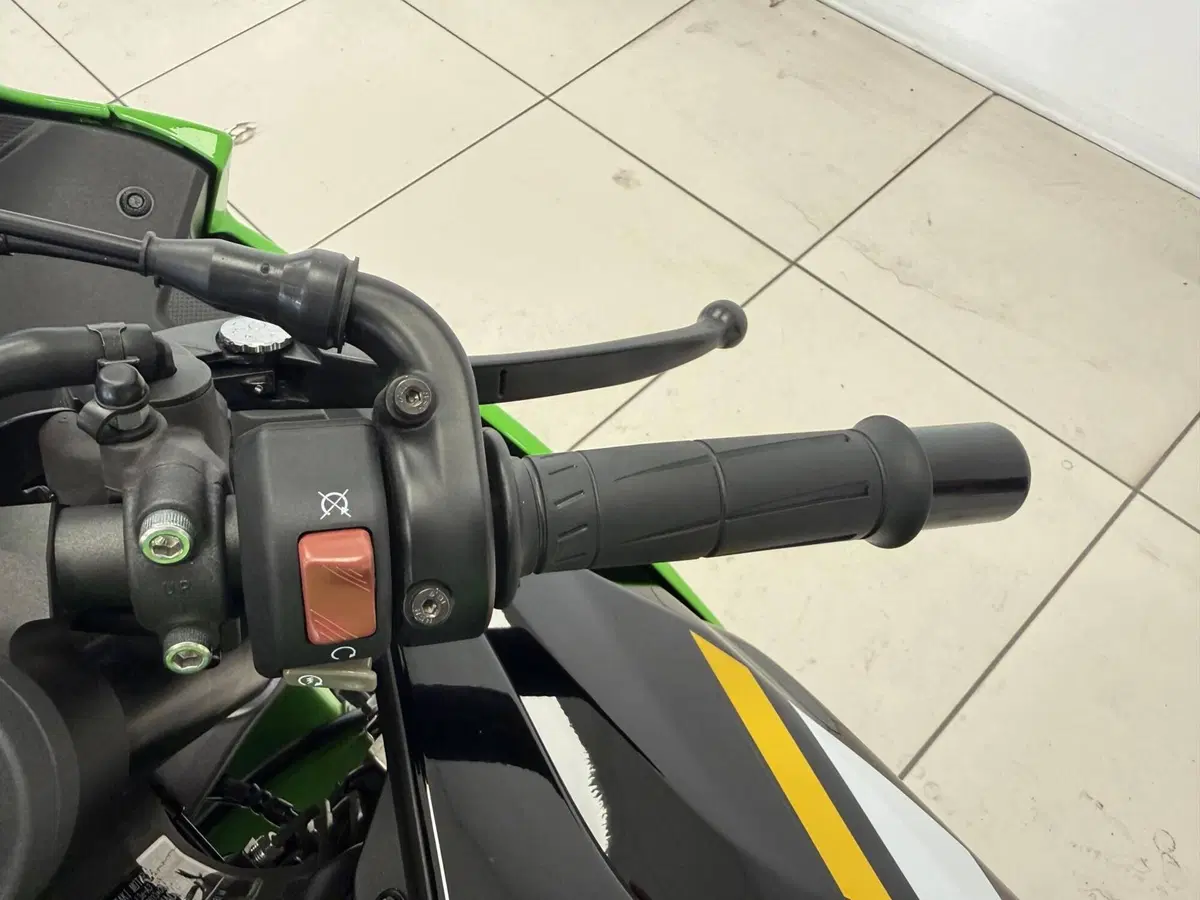 Kawasaki Ninja 636 ZX-6R (2024 - 26) (11)