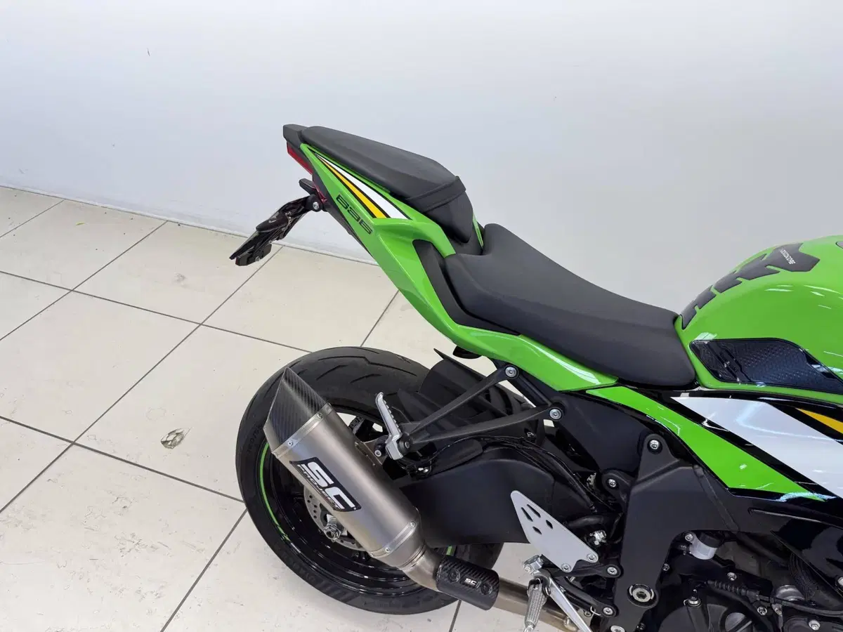 Kawasaki Ninja 636 ZX-6R (2024 - 26) (17)