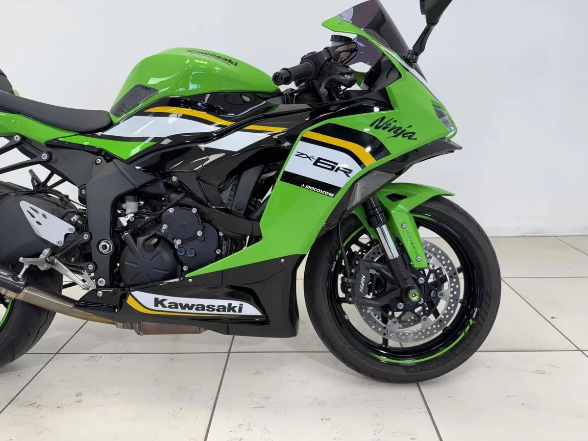 Kawasaki Ninja 636 ZX-6R (2024 - 26) (18)