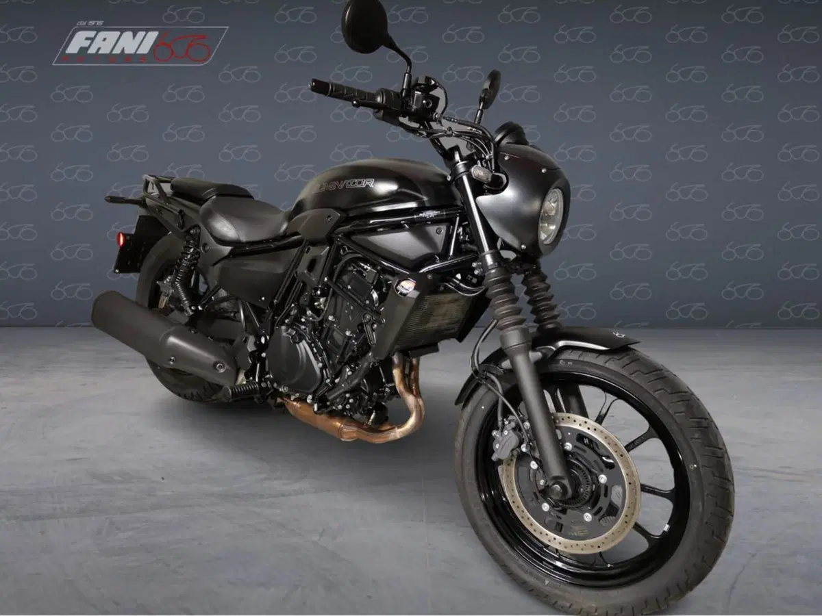 Kawasaki Eliminator 500 SE (2024 - 26) (2)