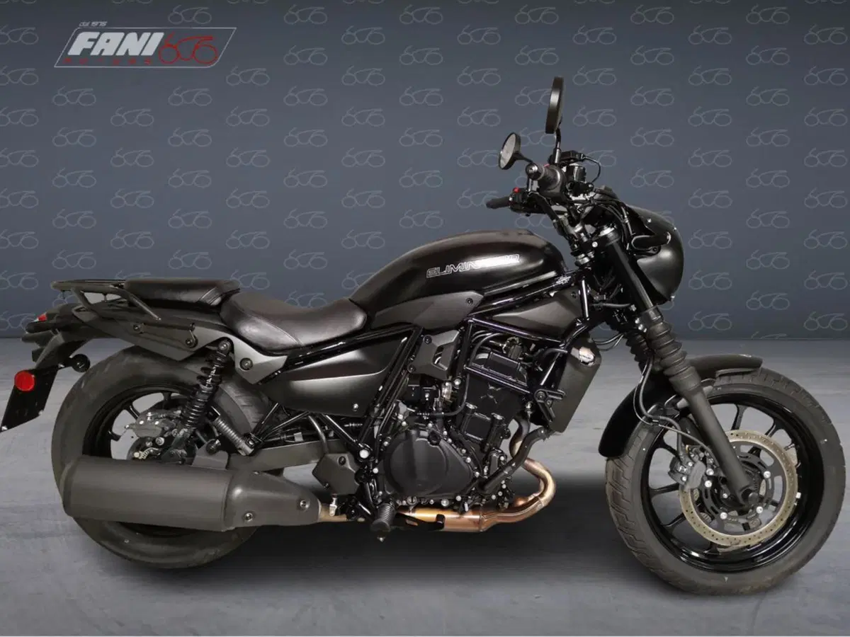 Kawasaki Eliminator 500 SE (2024 - 26)