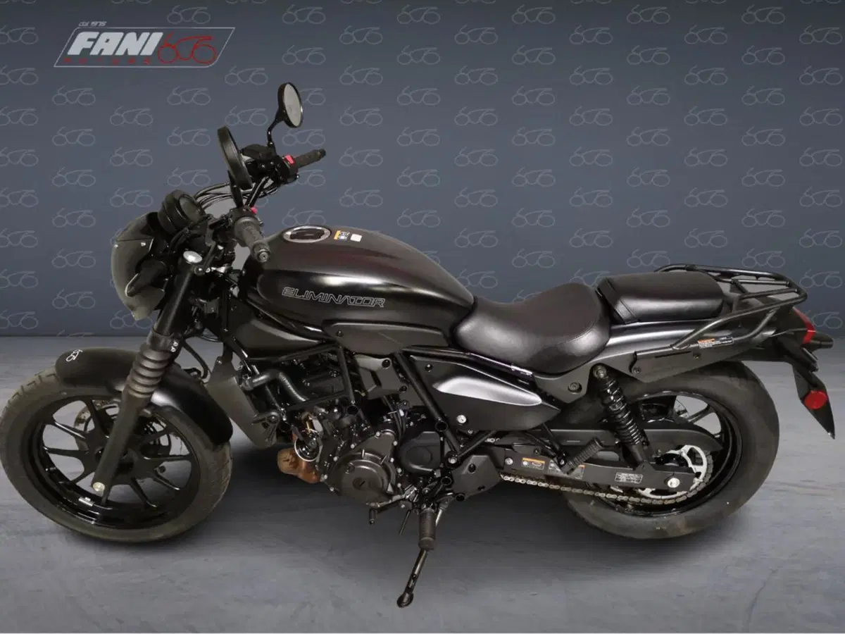 Kawasaki Eliminator 500 SE (2024 - 26) (3)