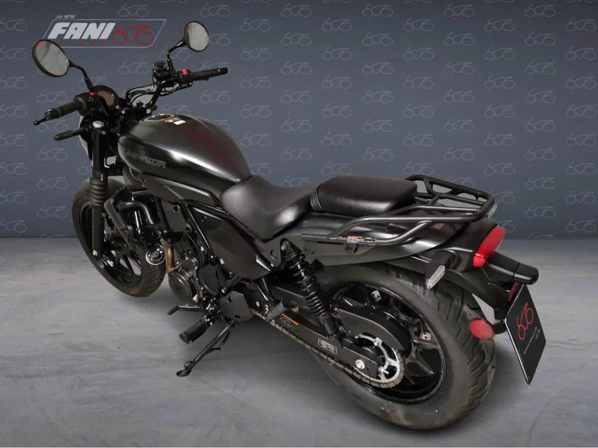 Kawasaki Eliminator 500 SE (2024 - 26) (4)