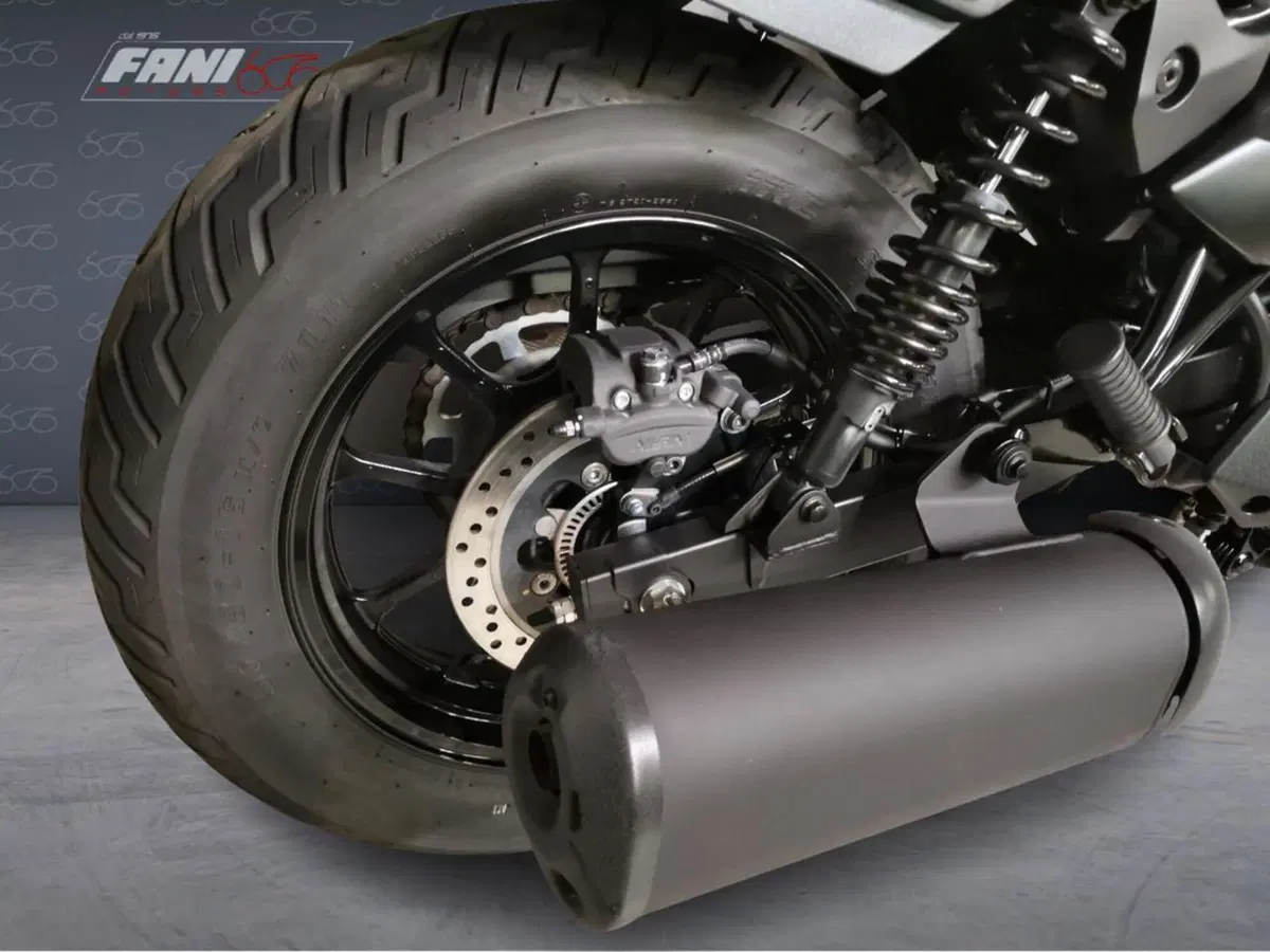 Kawasaki Eliminator 500 SE (2024 - 26) (6)