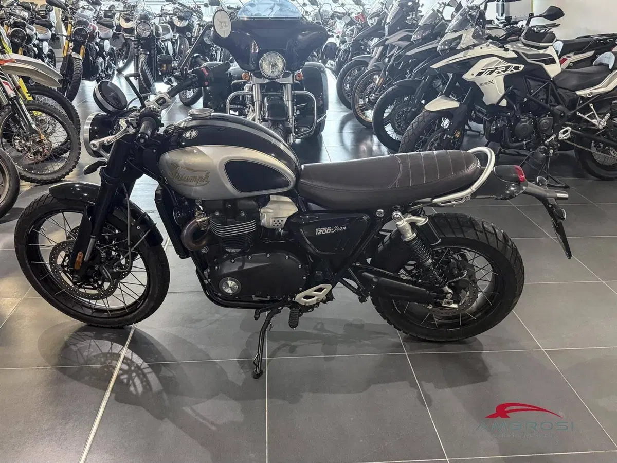 Triumph Scrambler 1200 XE (2024 - 25) (3)
