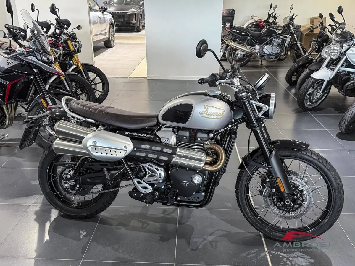 Triumph Scrambler 1200 XE (2024 - 25) (2)