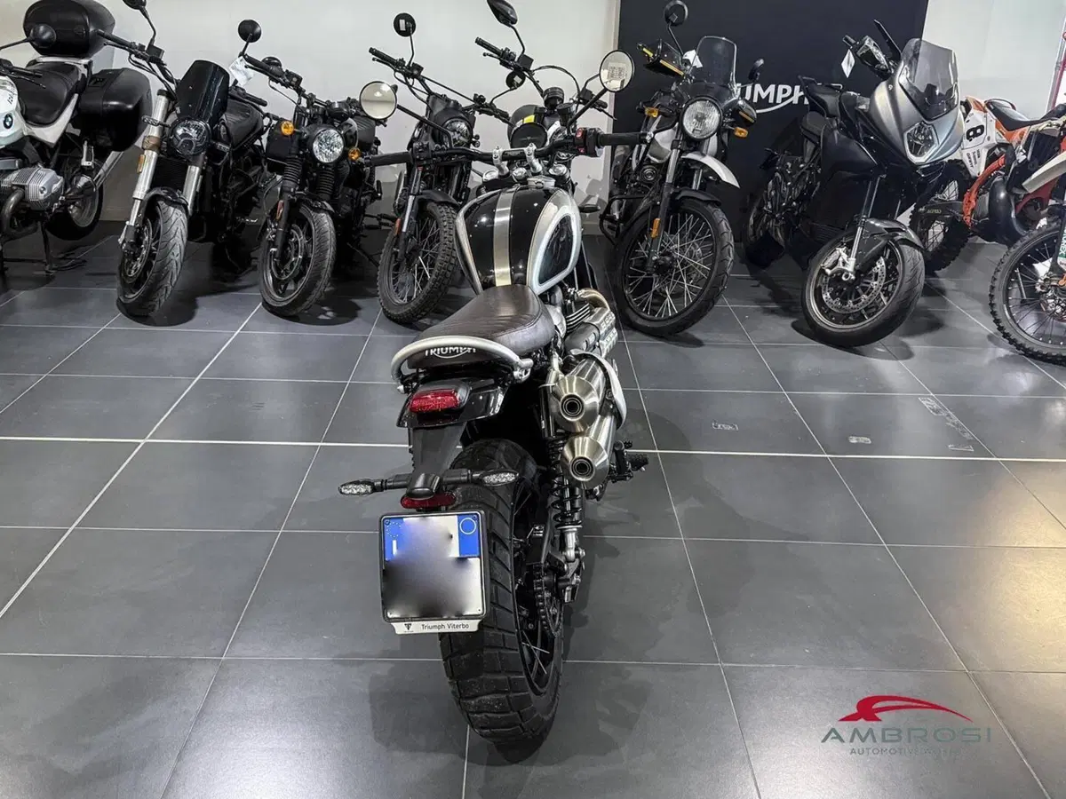 Triumph Scrambler 1200 XE (2024 - 25) (4)