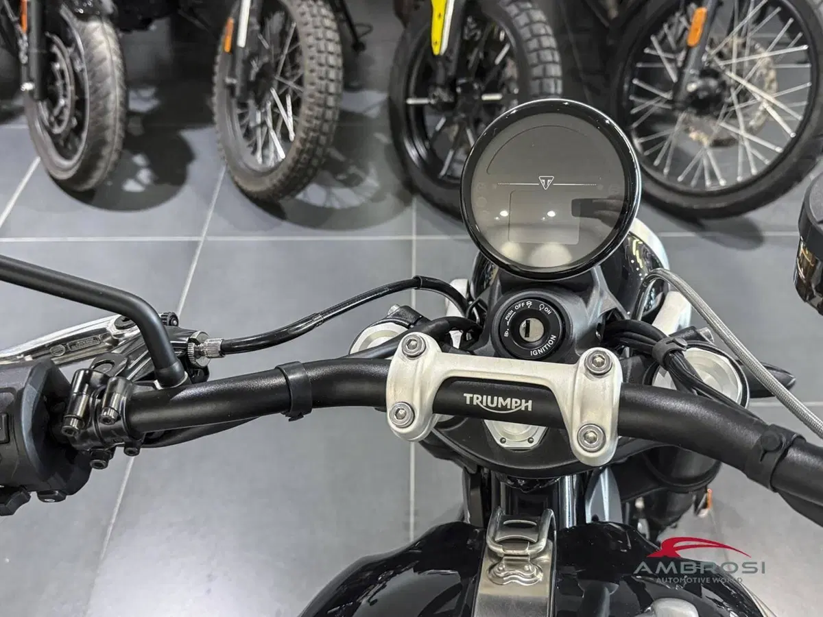 Triumph Scrambler 1200 XE (2024 - 25) (5)
