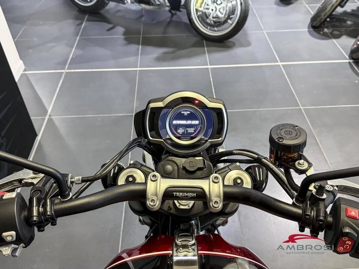 Triumph Scrambler 1200 XC (2021 - 23) (5)
