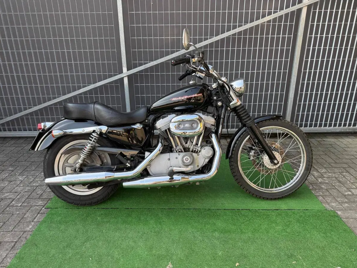 Harley-Davidson 883 Custom (2001 - 05) - XL 53C