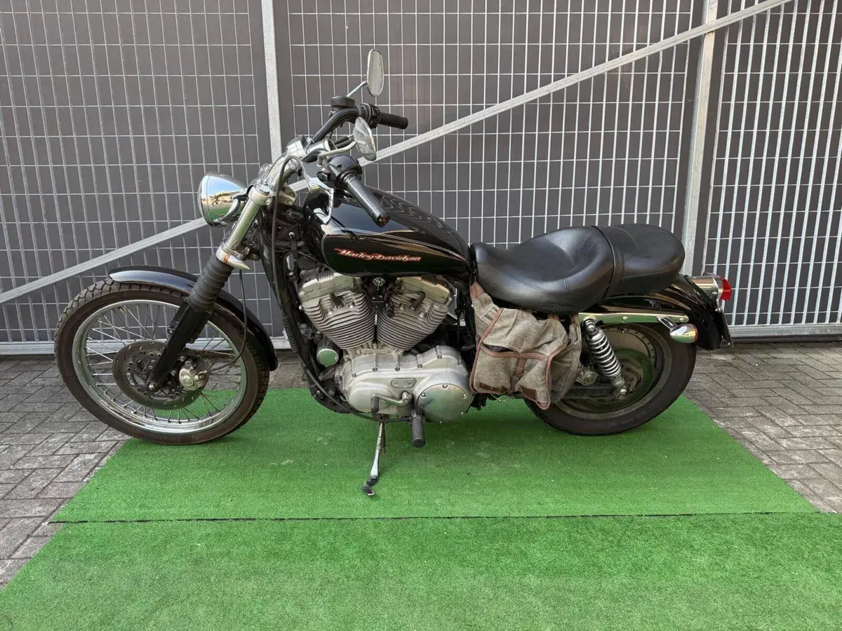Harley-Davidson 883 Custom (2001 - 05) - XL 53C (2)