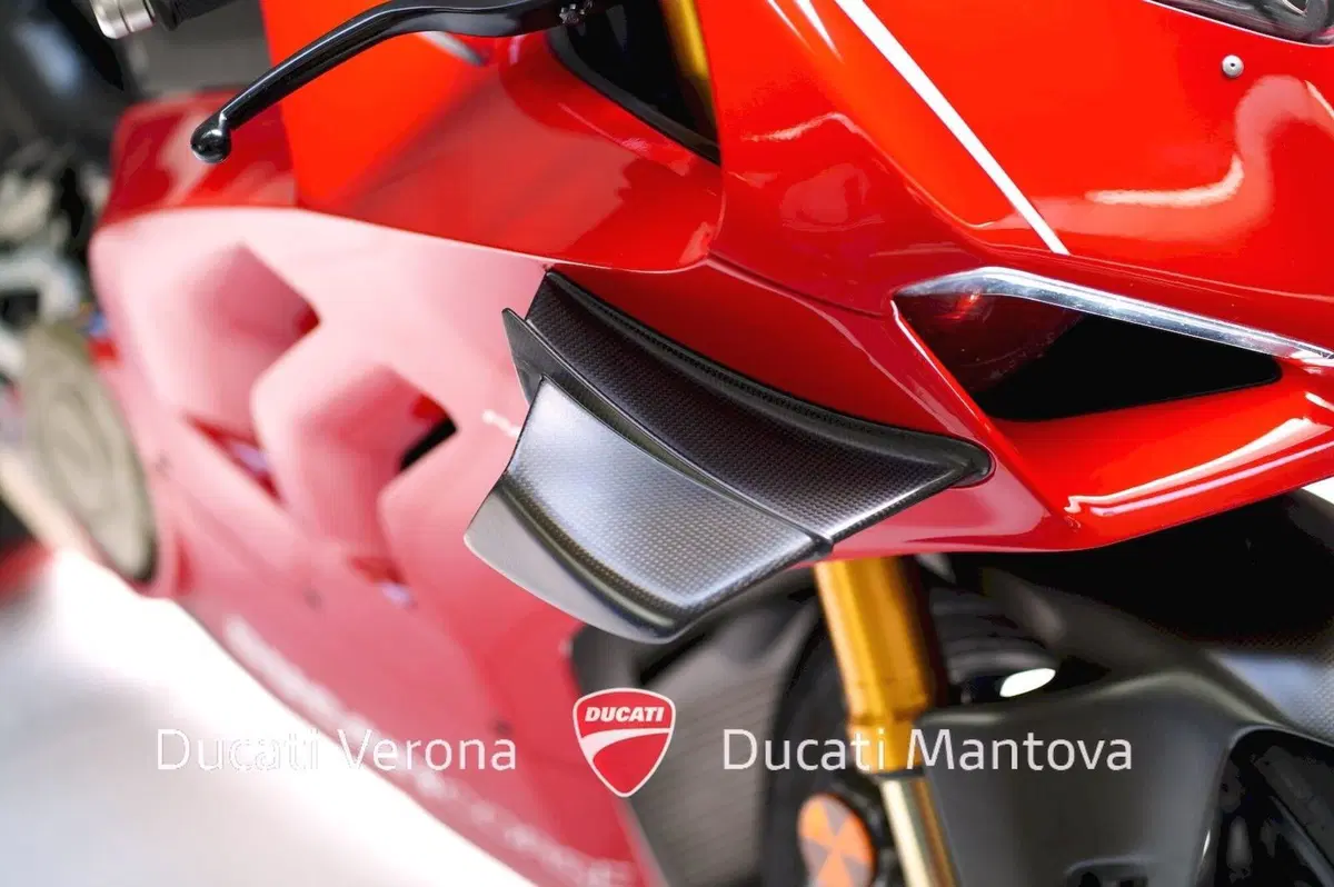 Ducati Panigale V4 R 1000 (2019 - 20) (9)