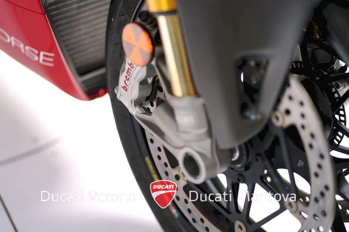 Ducati Panigale V4 R 1000 (2019 - 20) (10)