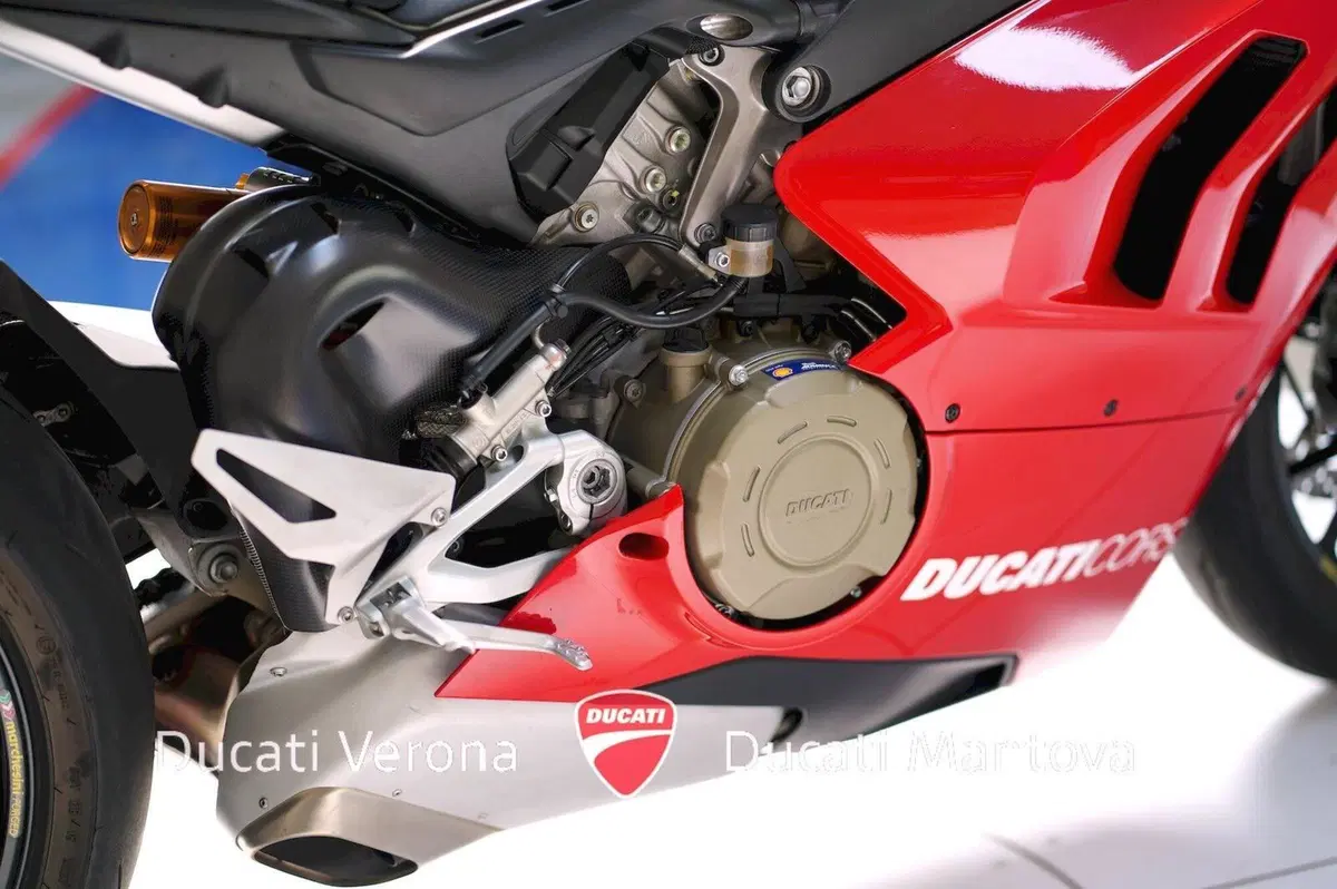 Ducati Panigale V4 R 1000 (2019 - 20) (11)