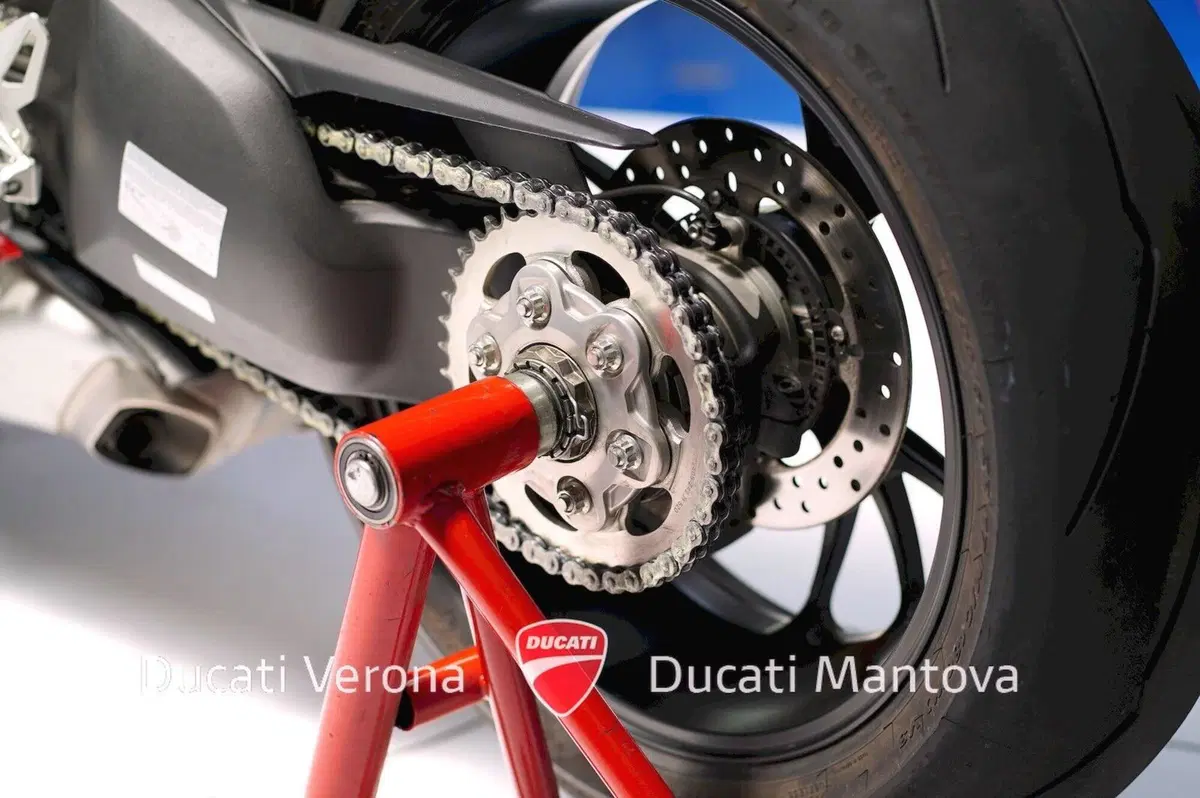 Ducati Panigale V4 R 1000 (2019 - 20) (14)