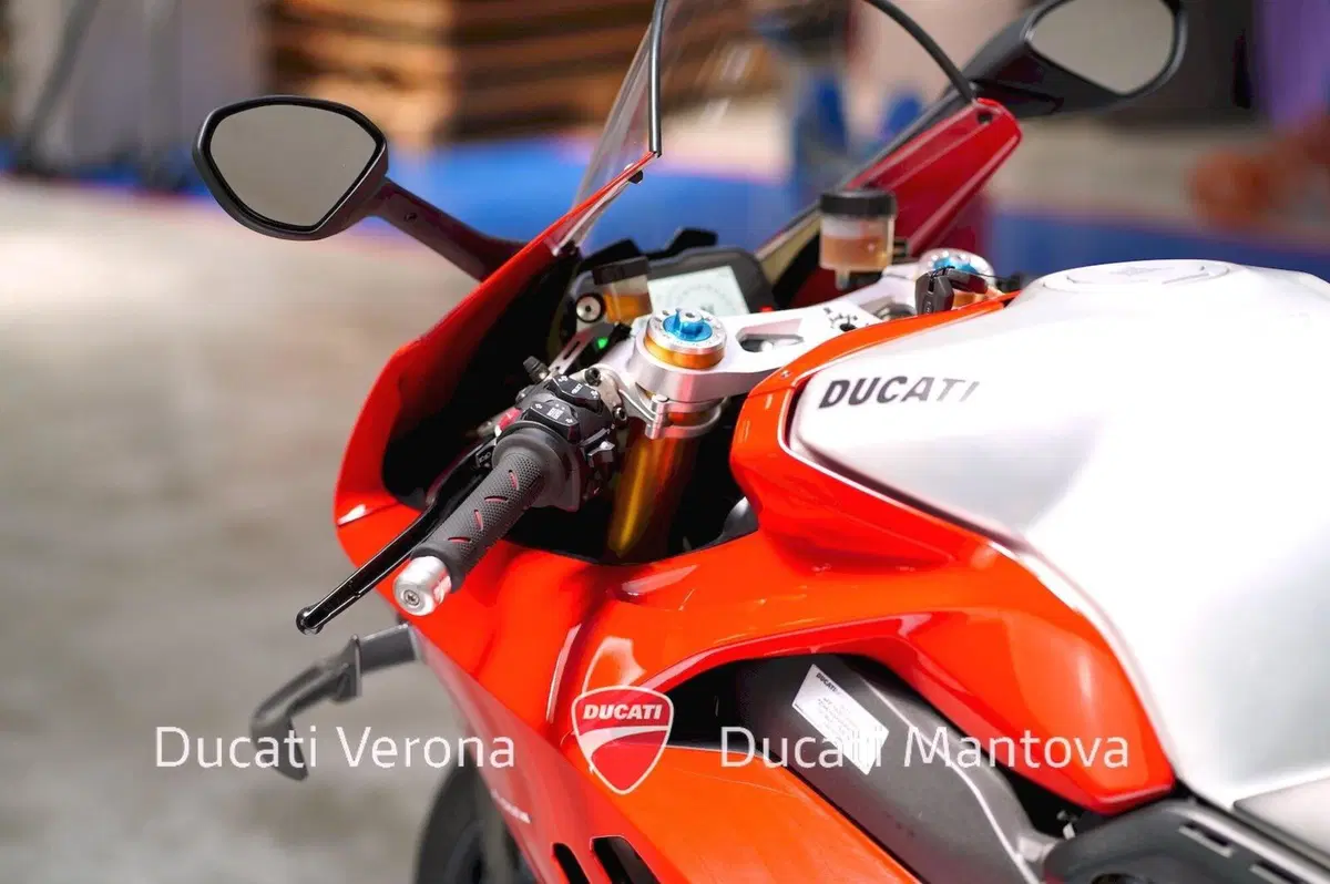 Ducati Panigale V4 R 1000 (2019 - 20) (16)