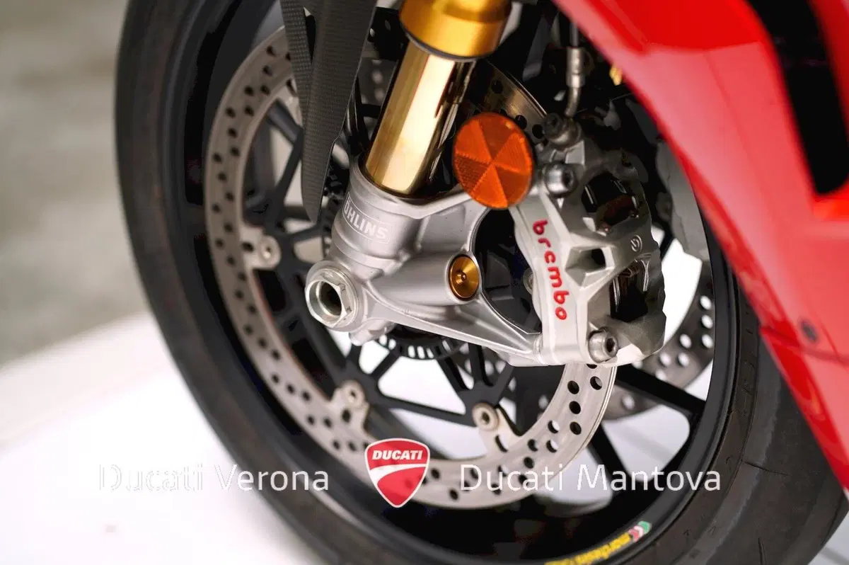 Ducati Panigale V4 R 1000 (2019 - 20) (17)