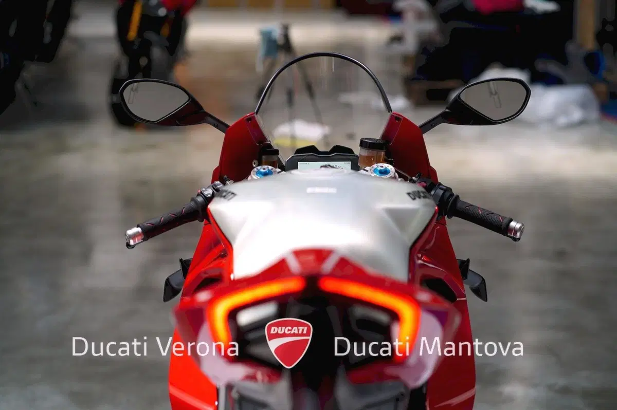 Ducati Panigale V4 R 1000 (2019 - 20) (18)