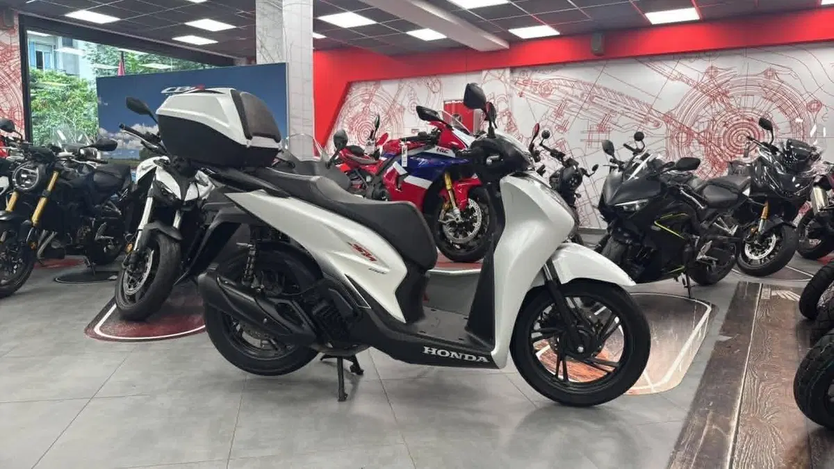 Honda SH 150i Sport (2024 - 25)