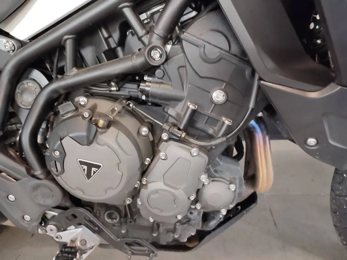 Triumph Tiger 900 GT (2020 - 23) (3)