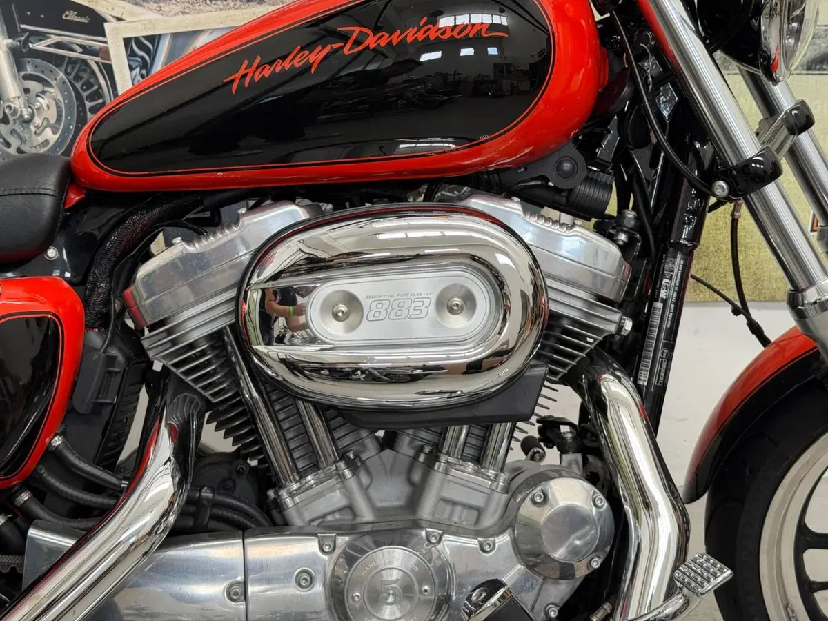Harley-Davidson 883 SuperLow (2010 - 16) - XL 883L (5)