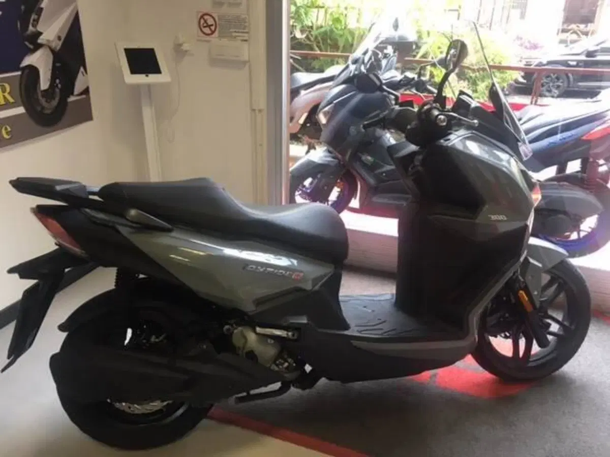Sym Joyride 300 (2022 - 24) (2)
