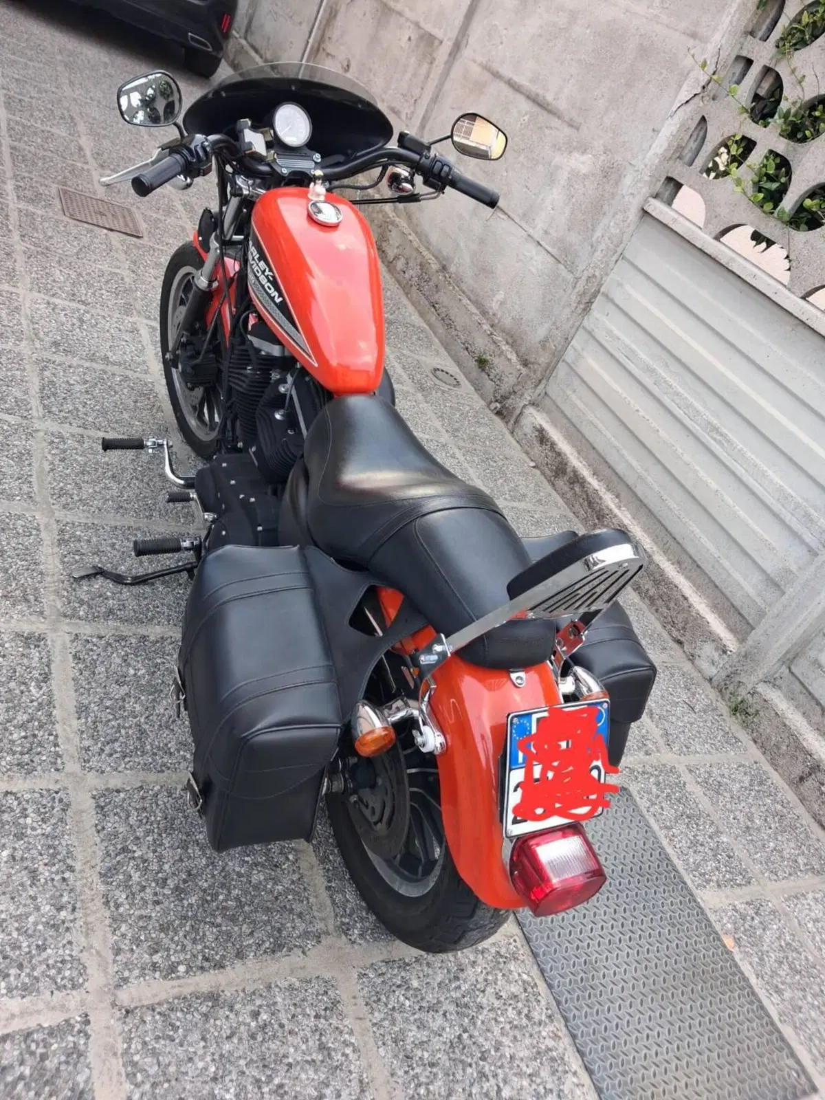 Harley-Davidson 883 (2008 - 09) - XL (4)