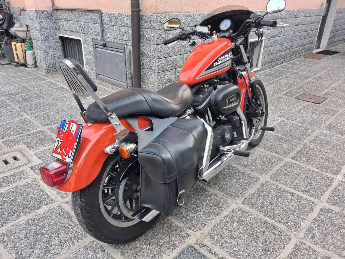 Harley-Davidson 883 (2008 - 09) - XL (5)
