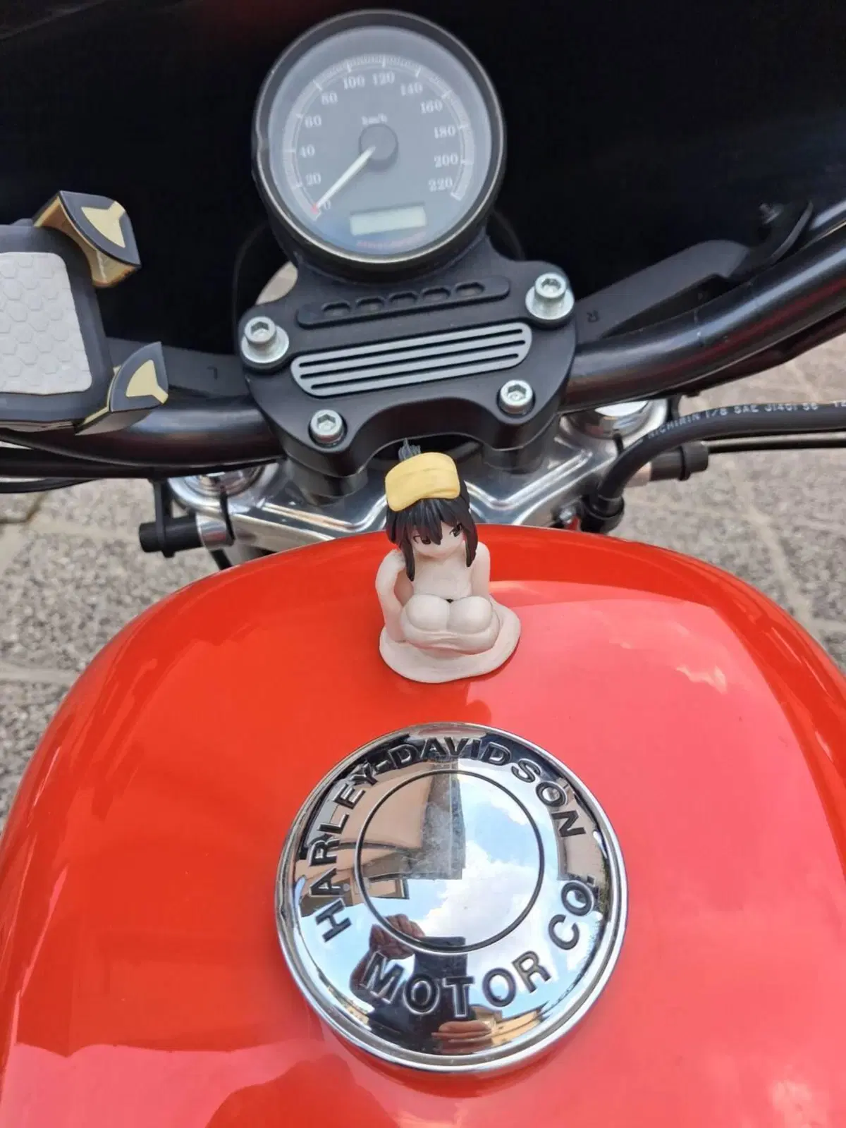 Harley-Davidson 883 (2008 - 09) - XL (7)