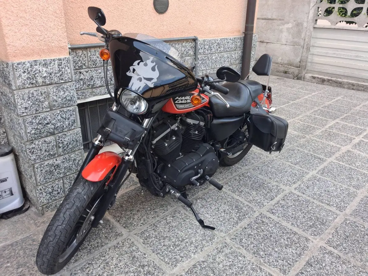 Harley-Davidson 883 (2008 - 09) - XL (8)