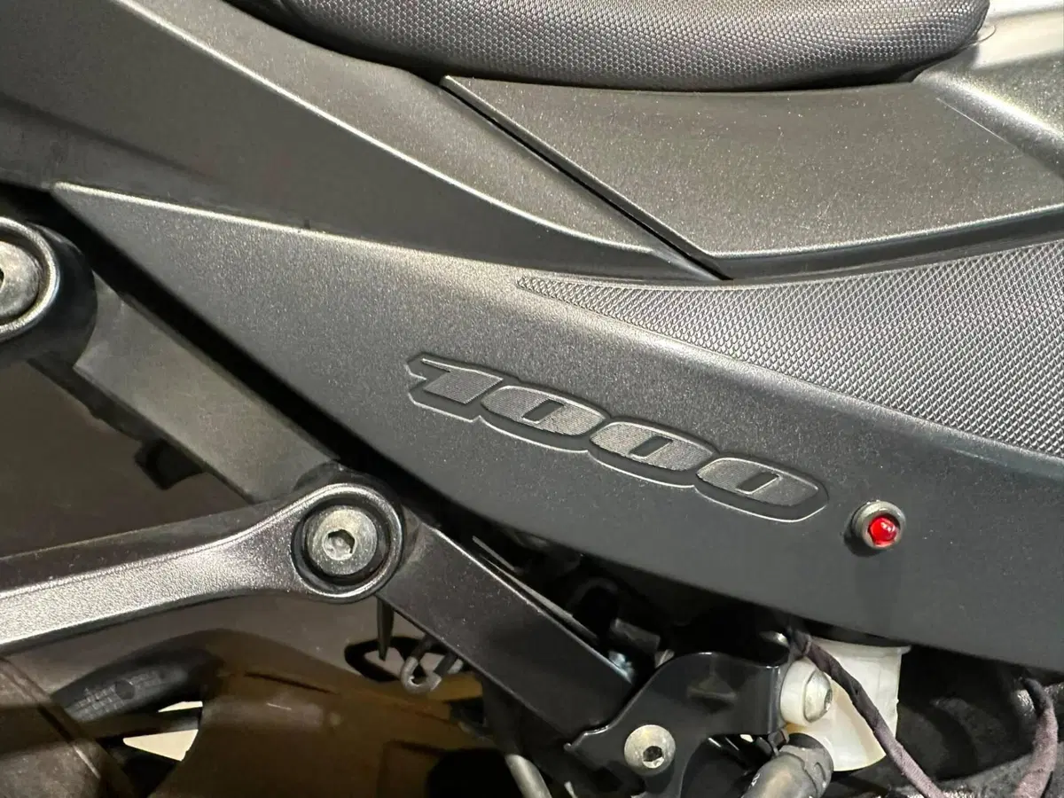 Suzuki GSX-R1000R (2019 - 20) (7)