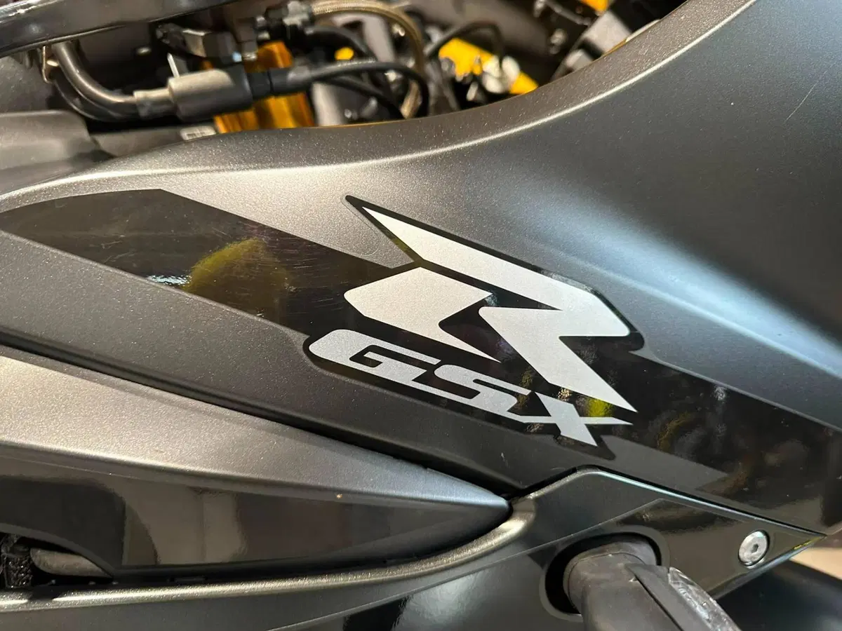 Suzuki GSX-R1000R (2019 - 20) (8)
