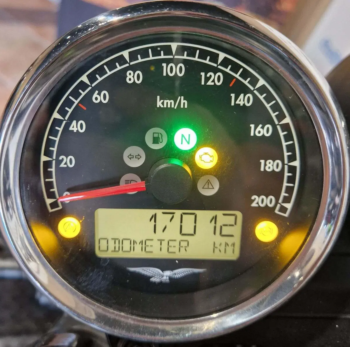 Moto Guzzi V7 Special (2021 - 24) (5)