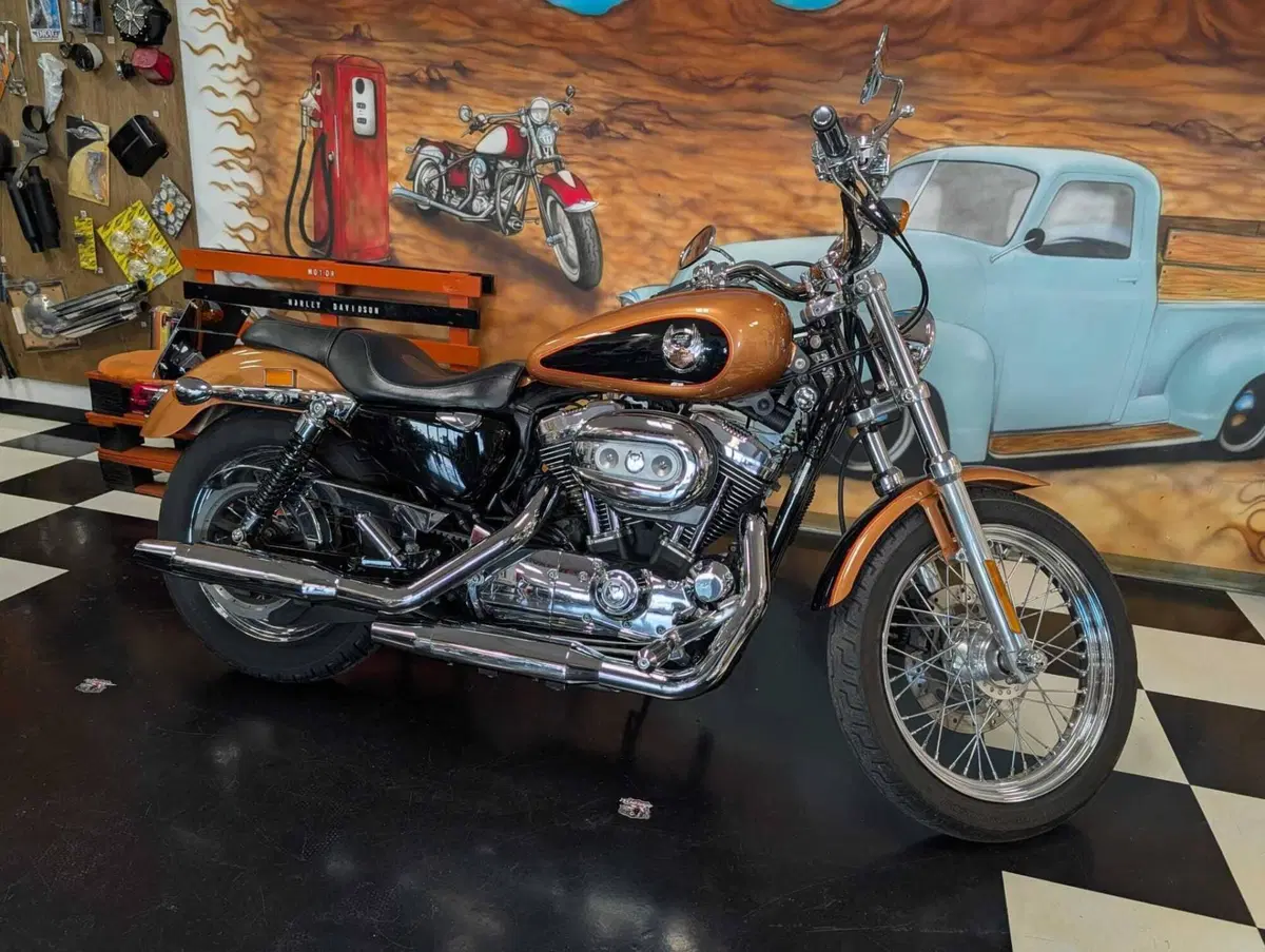 Harley-Davidson 1200 Custom (2007 - 13) - XL 1200C (2)