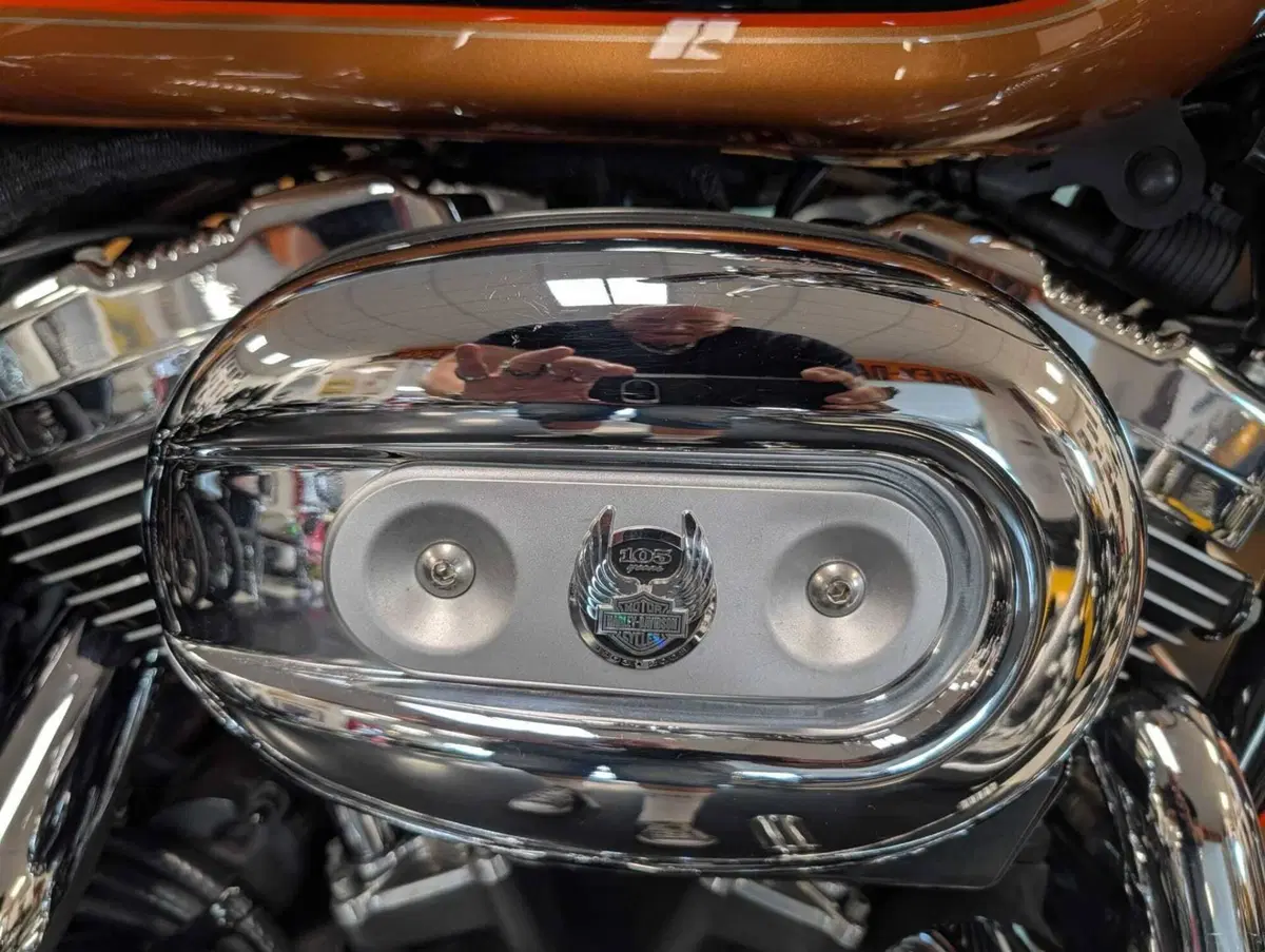 Harley-Davidson 1200 Custom (2007 - 13) - XL 1200C (3)
