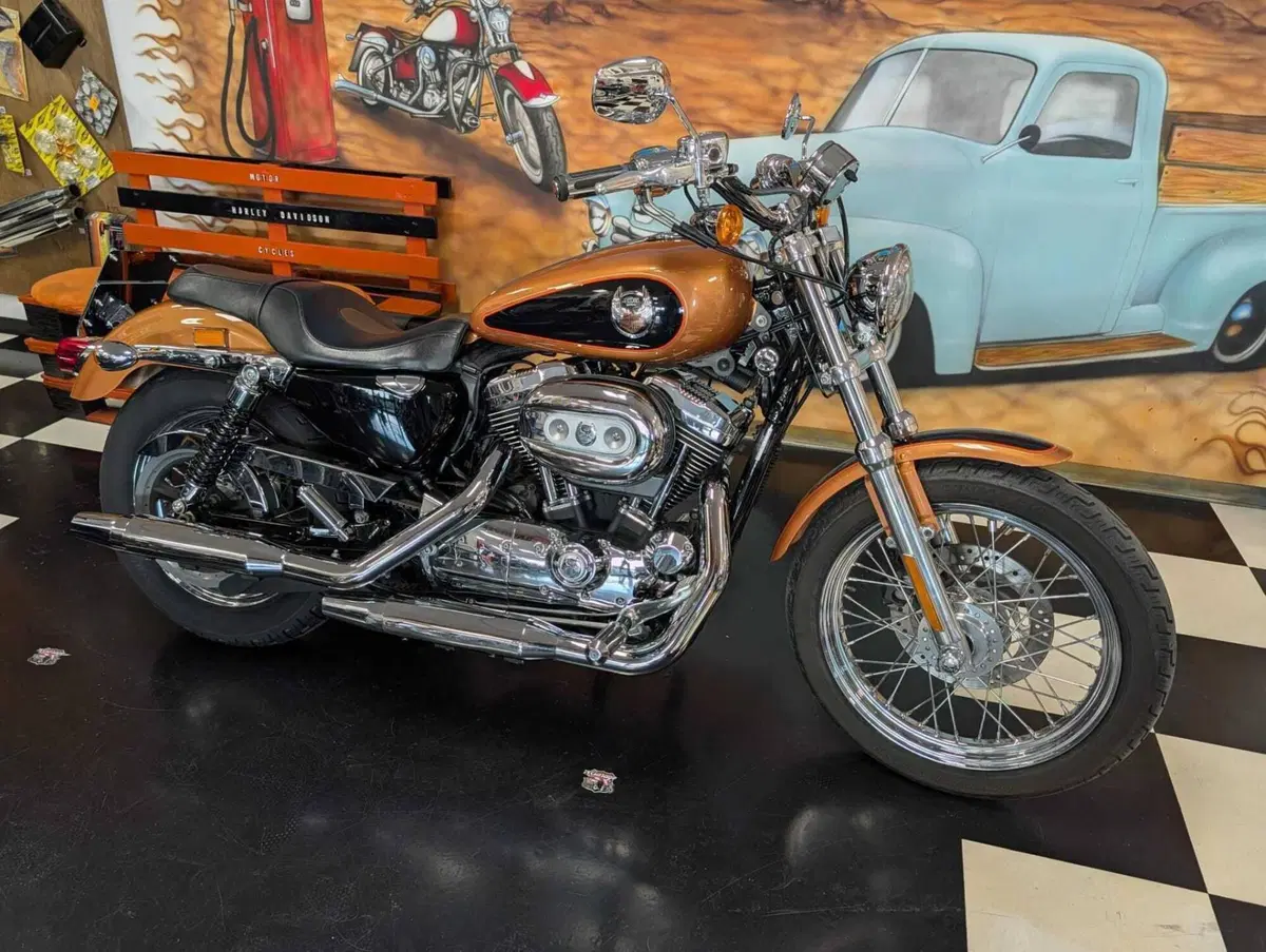 Harley-Davidson 1200 Custom (2007 - 13) - XL 1200C (4)