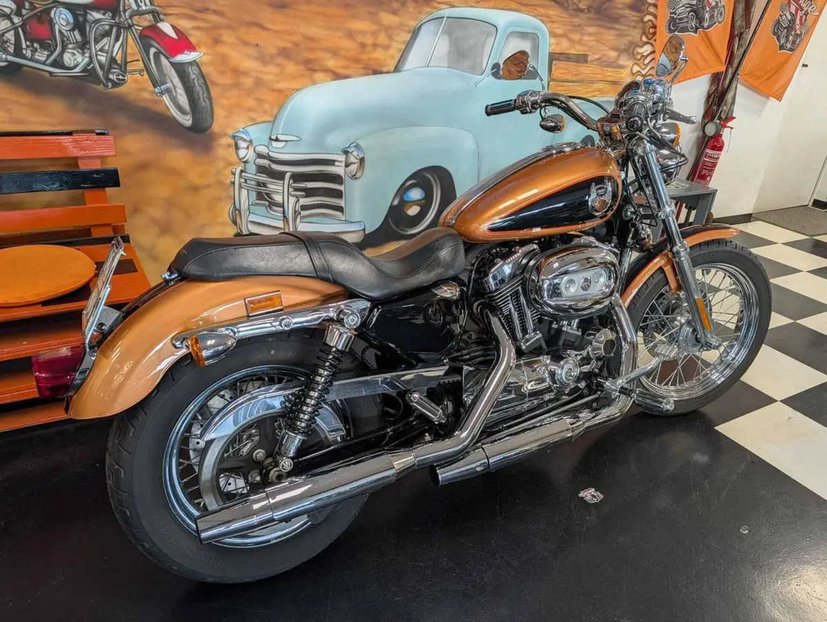 Harley-Davidson 1200 Custom (2007 - 13) - XL 1200C (5)