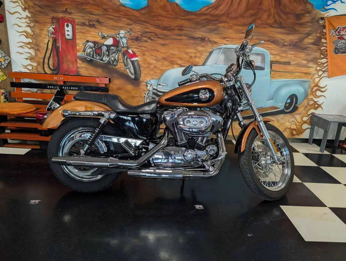 Harley-Davidson 1200 Custom (2007 - 13) - XL 1200C (6)