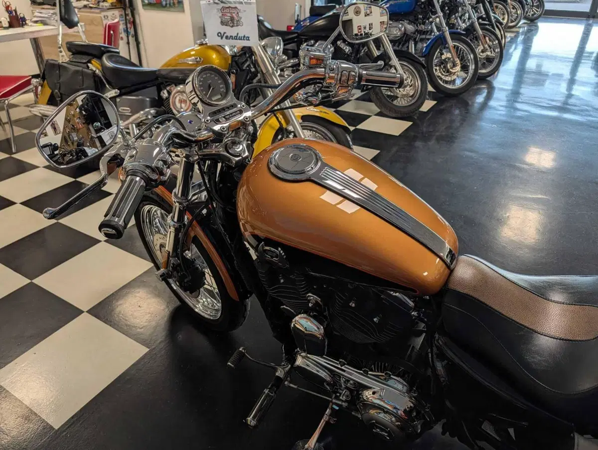 Harley-Davidson 1200 Custom (2007 - 13) - XL 1200C (7)